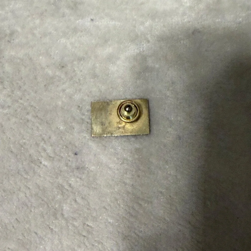 Castle in the Clouds Moultonboro New Hampshire Vintage Lapel Pin I4